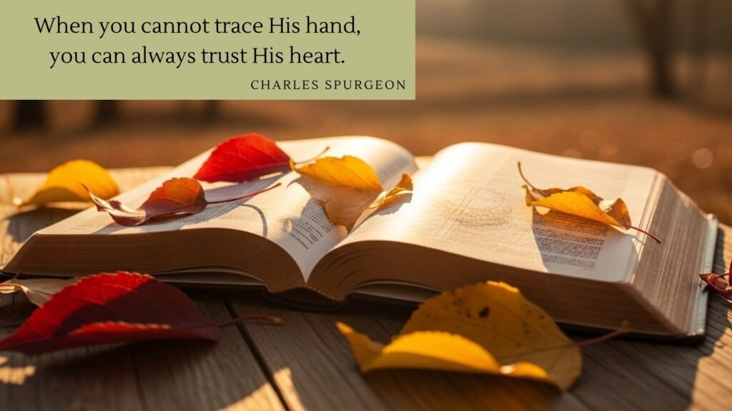 This image has an empty alt attribute; its file name is 19-1024x576.jpg