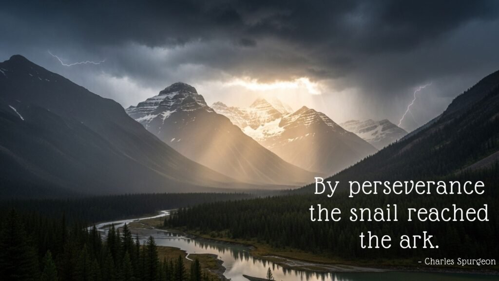 This image has an empty alt attribute; its file name is 3-1024x576.jpg